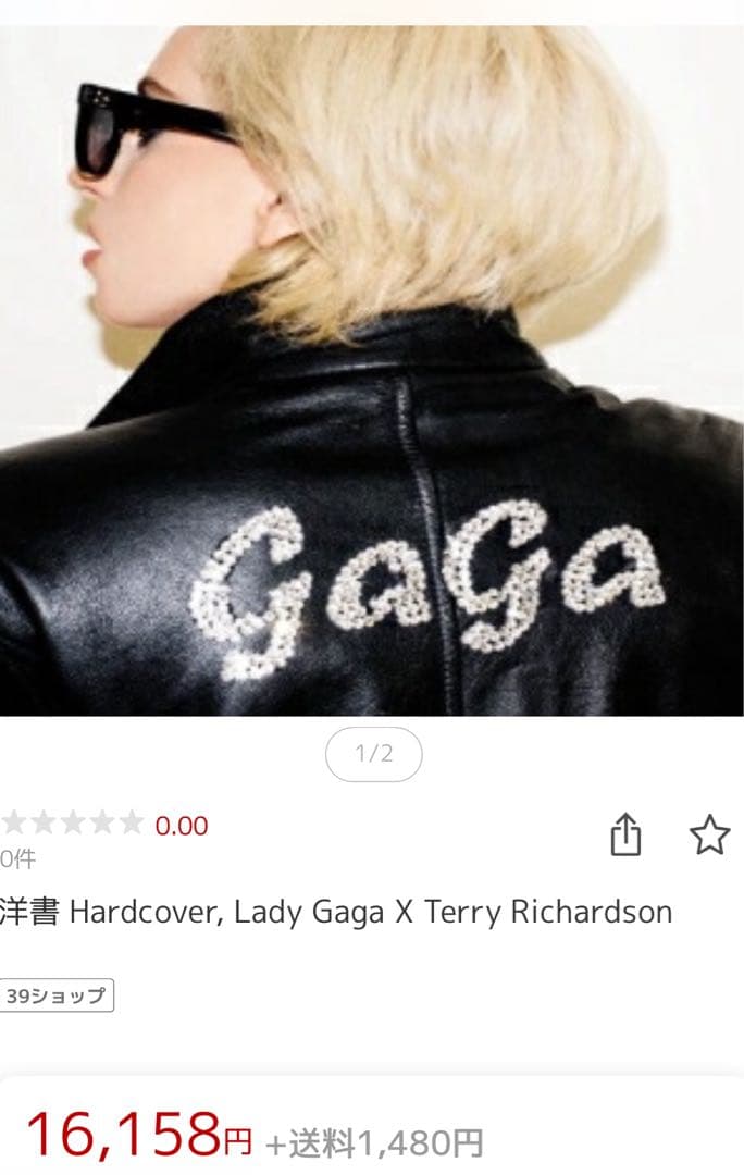 ミュージシャン #Lady Gaga X #Terry Richardson#Beatles