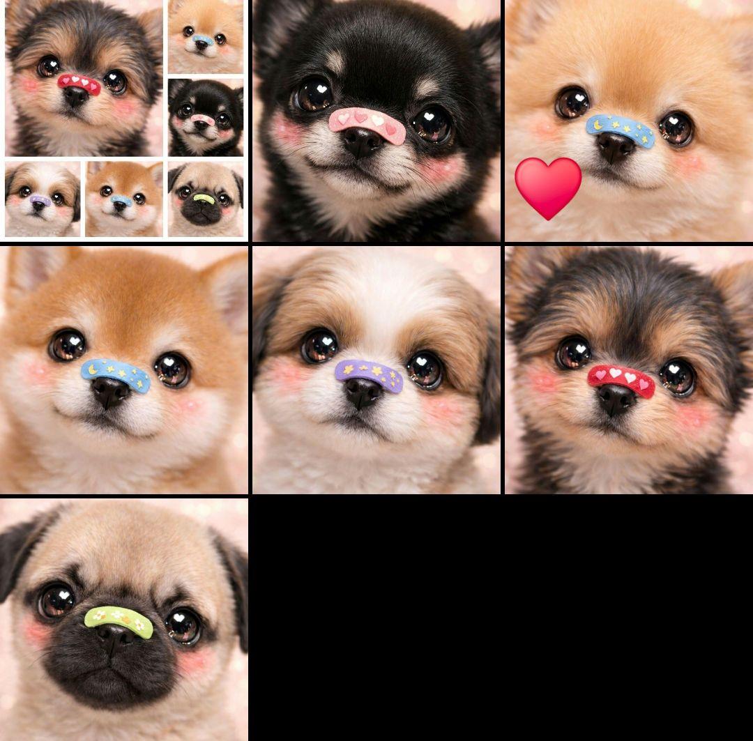 ピーチ様ご確認用