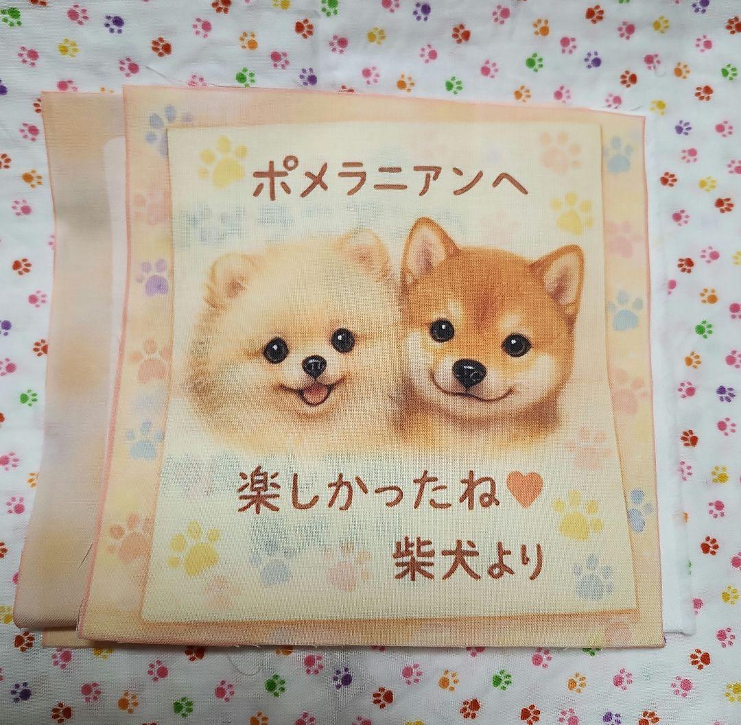 ピーチ様ご確認用