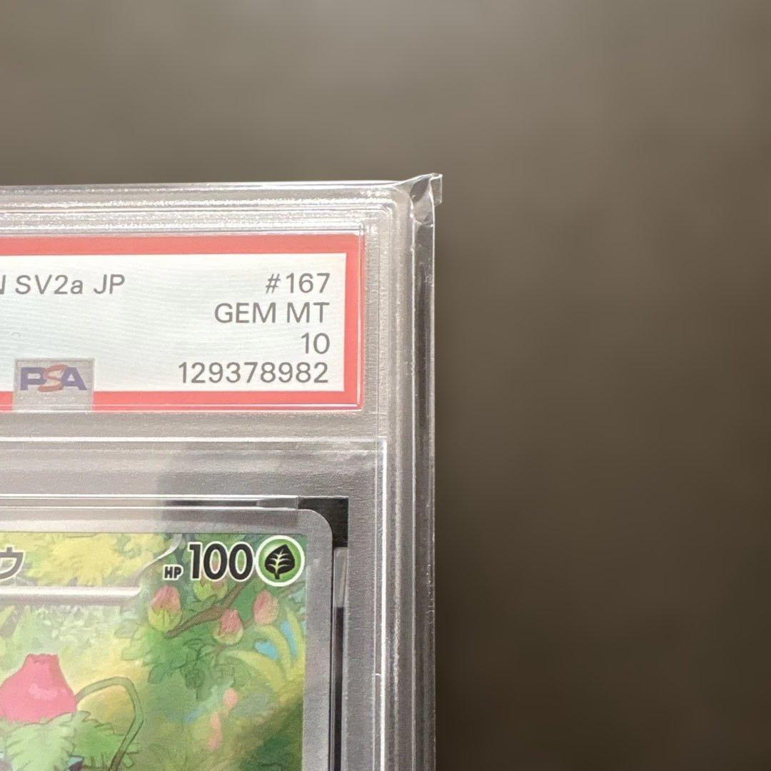 2023 ポケモンカード フシギソウ アートレア PSA 10