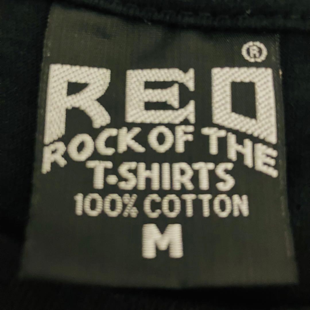 GREEN DAY ロンT Mサイズ