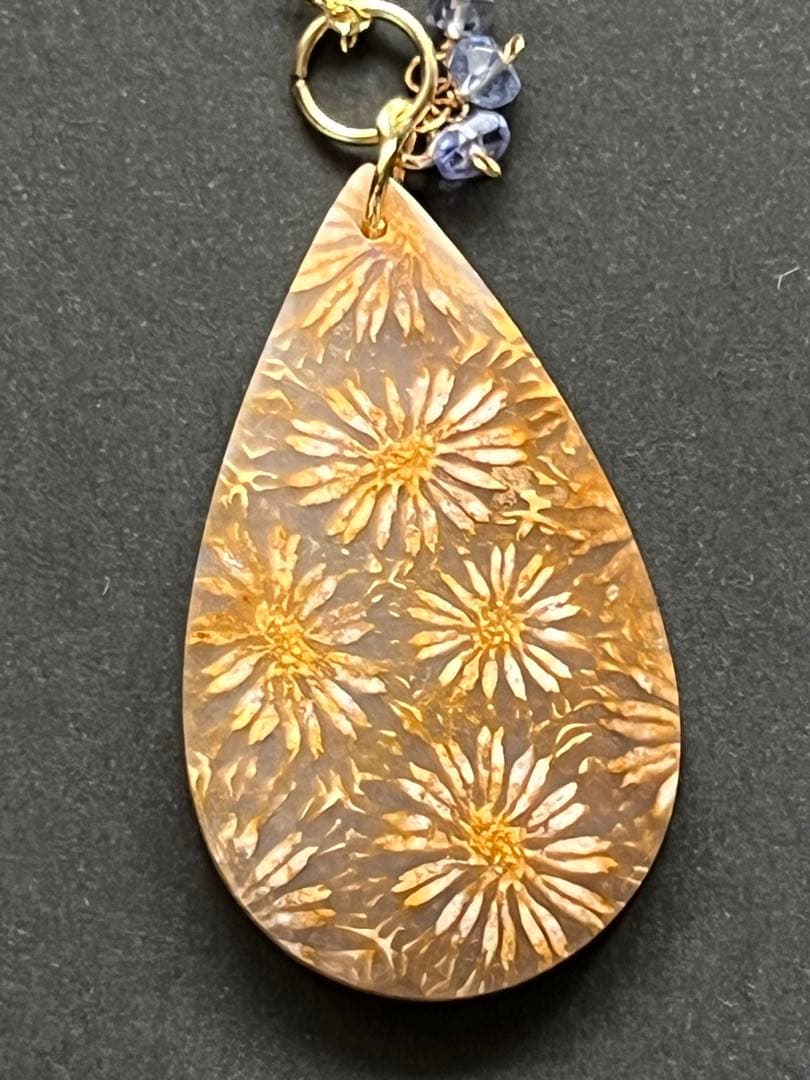14kgf ブラウンにお花くっきりフォッシルコーラル ピアス+ペントップセット