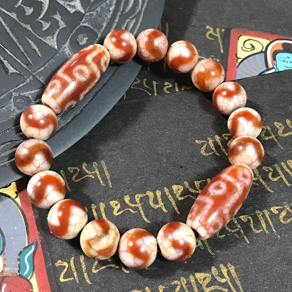 九眼　虎牙　チベット天珠　ブレスレット　Dzi Beads　No.c90