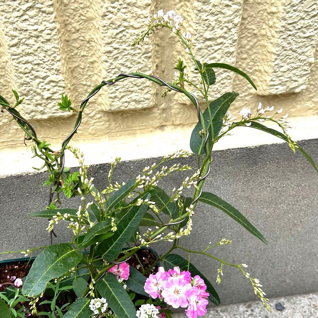 ハート成形の群舞　かわいく豪華な寄せ植え　7号薔薇用鉢ごと宅急便発送