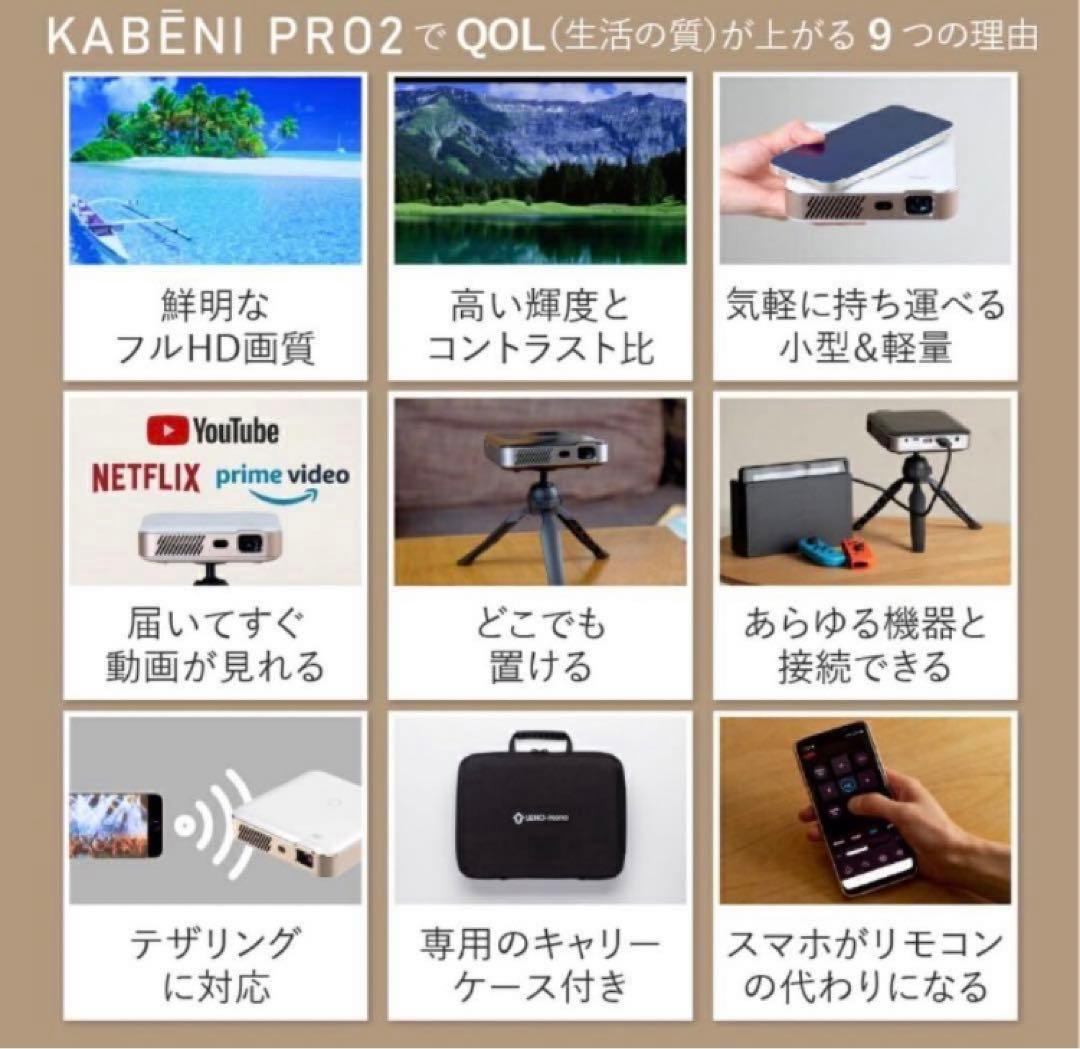 T*m様 [美品]UENO-mono KABENI PRO2 本体　付属品全てあ