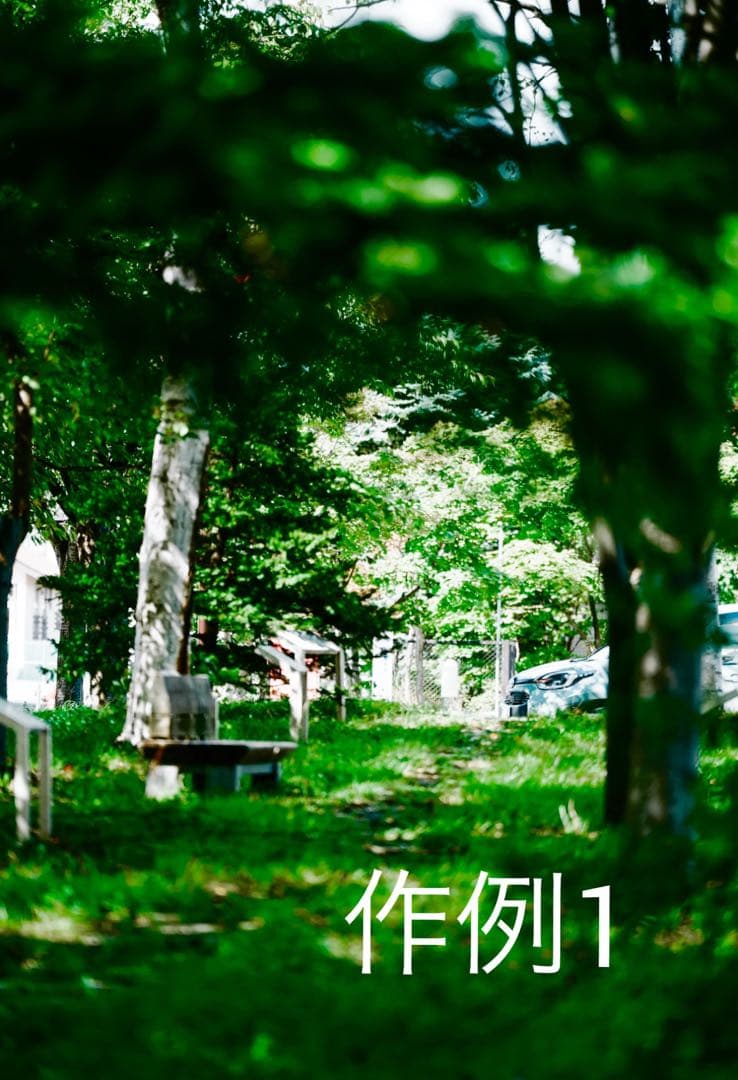 難ありSONY FE 70-200mm F2.8 GM OSS II