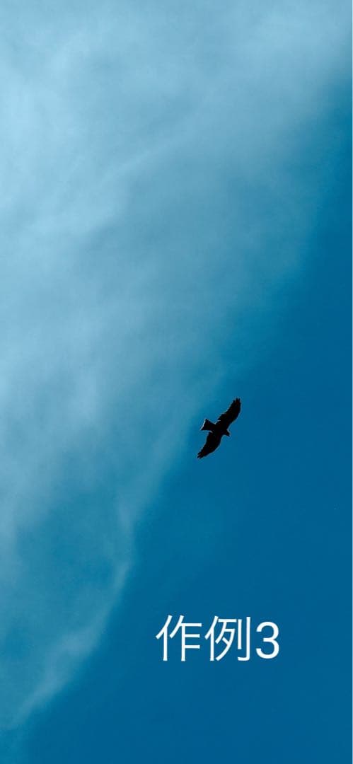 難ありSONY FE 70-200mm F2.8 GM OSS II