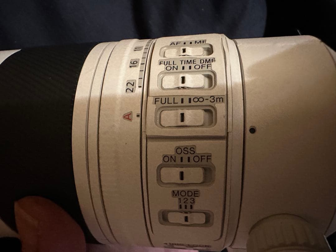 難ありSONY FE 70-200mm F2.8 GM OSS II