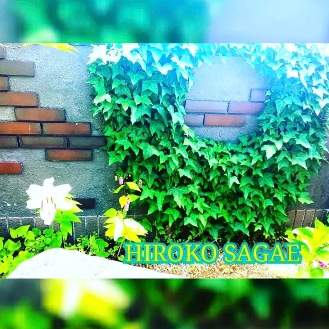 スター レモンクォーツ & 高品質 大粒 レモンクォーツ ブレスレット No.2