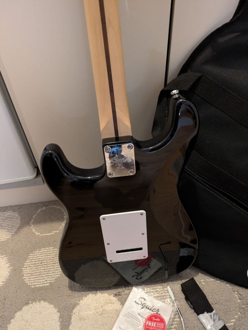 Squier Stratocaster ケース付き、アクセサリー