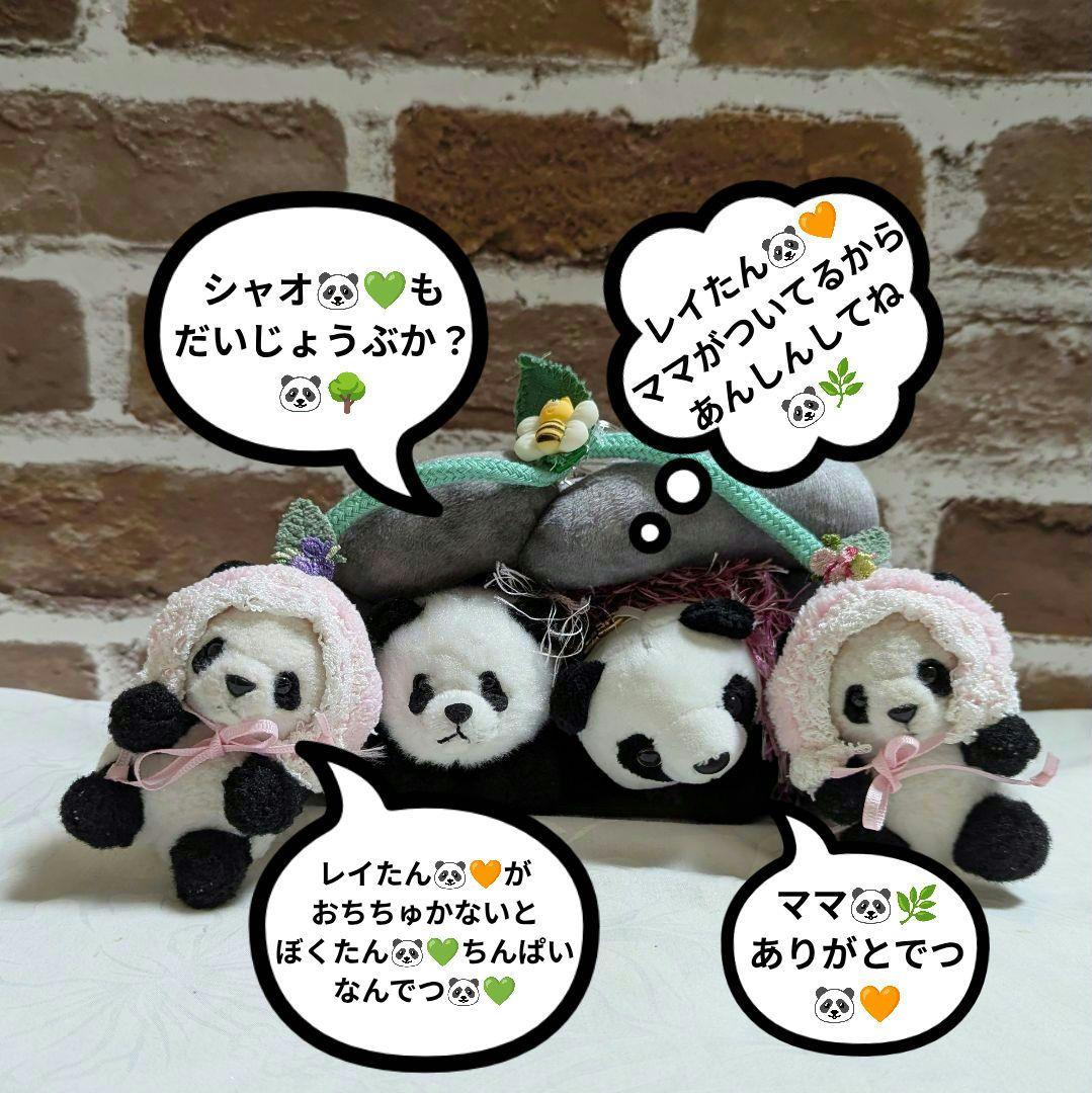 シャオたん♡レイたん♡応援グッズ☆いつも一緒♡さくらんぼ変身コスチューム