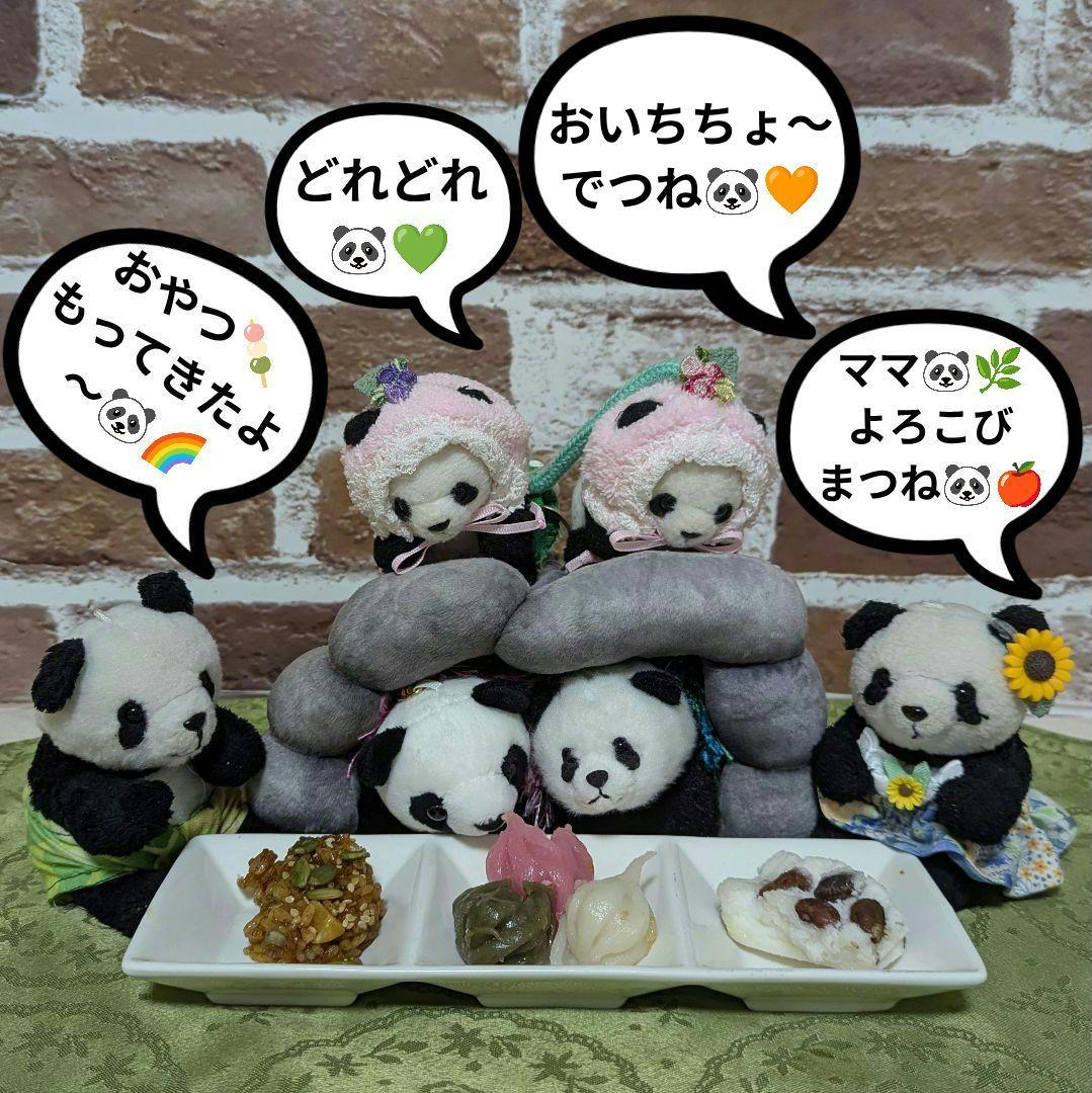 シャオたん♡レイたん♡応援グッズ☆いつも一緒♡さくらんぼ変身コスチューム