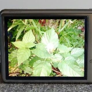 美品 Nikon COOLPIX S600 基本動作確認済