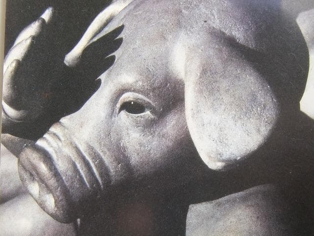 中村寝郎作　人形作家　豚さん　女の子　球体　球体関節DOLL