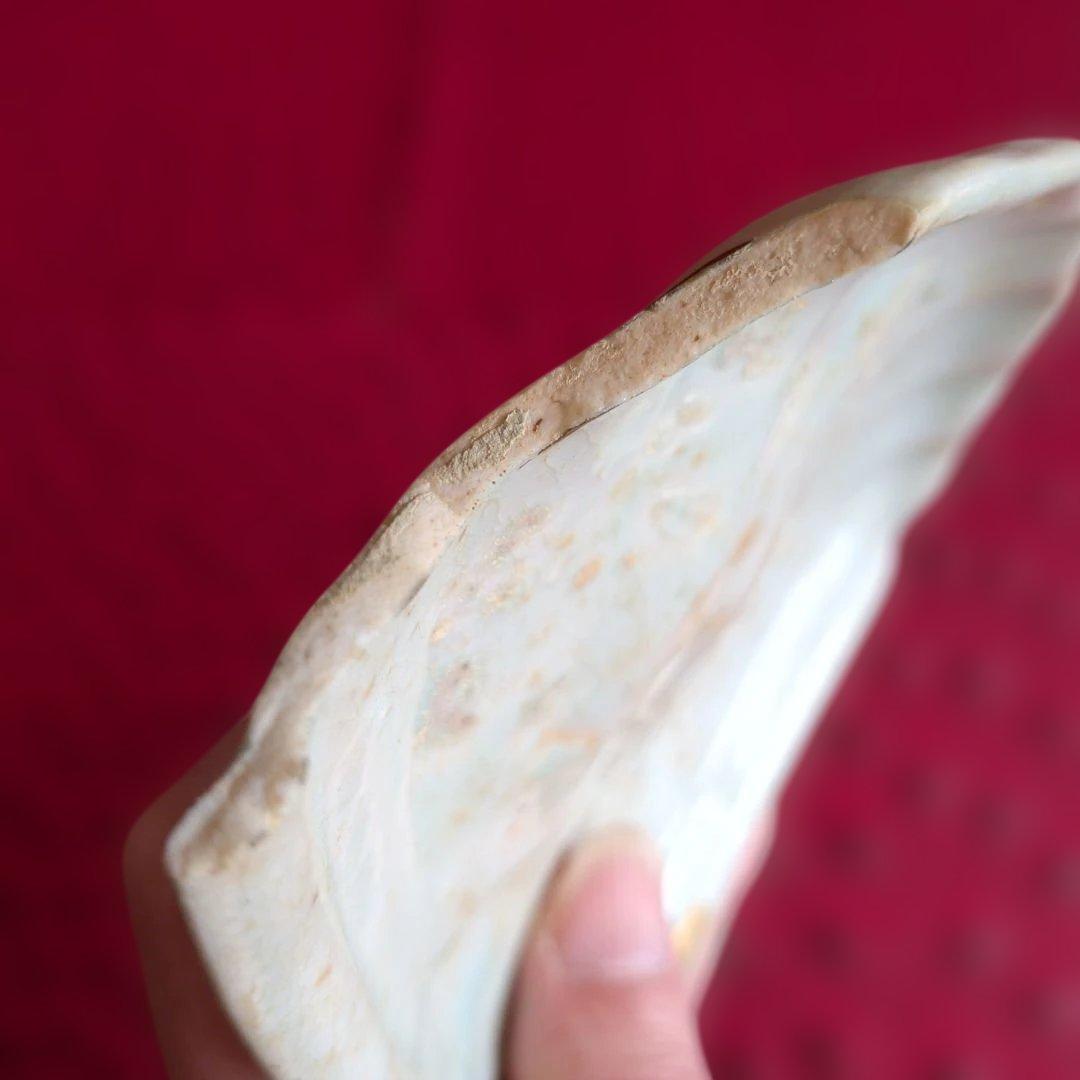 初期伊萬里　扇面皿　陶片