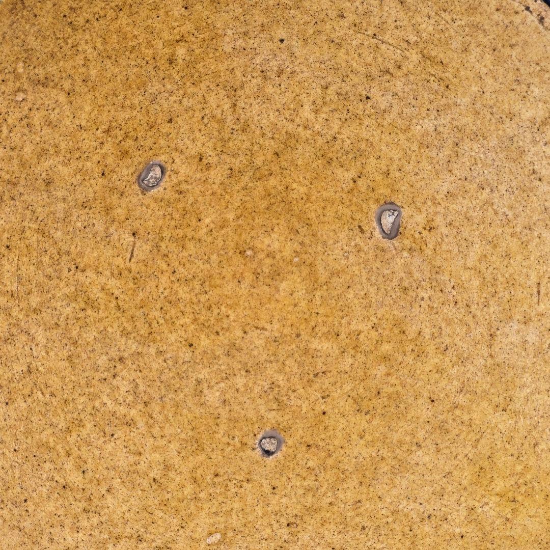 舶来品 希少 中国古磁 唐三彩 陽刻 手描き 蓮魚紋 筆添 筆洗 観賞皿 超美品