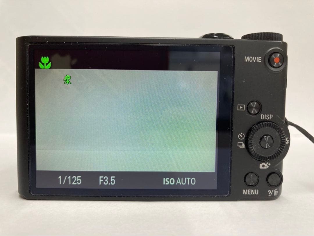 SONY Cyber-shot DSC-WX350 ブラック 20倍光学ズーム
