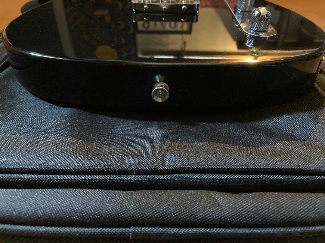 【かなり美品】Fujigen NTE10RAL-BK 2023年製