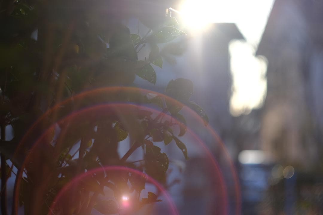 【整備済・デジタル実写済】Helios 44-2 58mm f2 ぐるぐるボケ