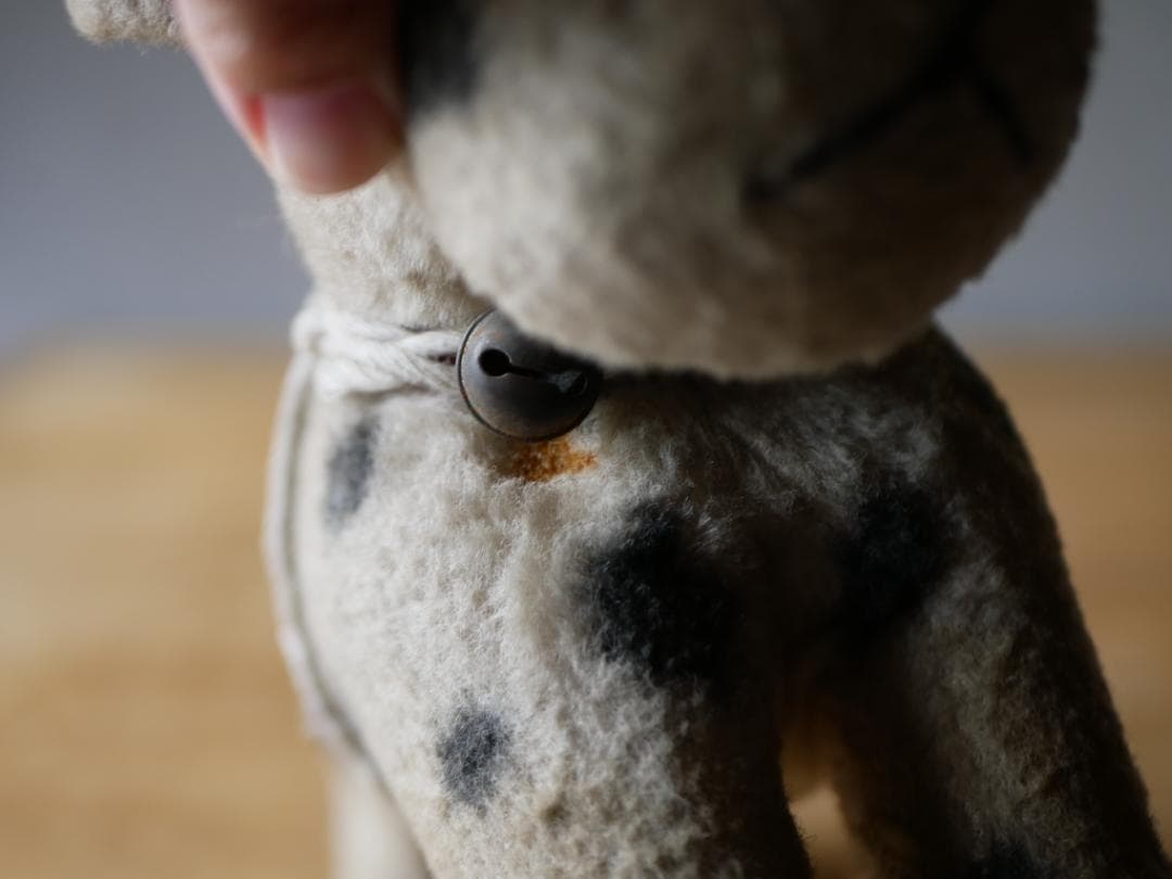 ドット柄のワンちゃん　犬　アンティークトイ　ぬいぐるみ　フランスアンティーク