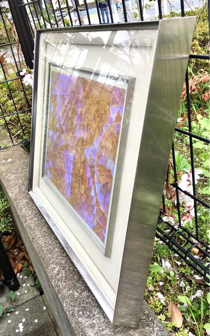 レア【美品】モルフォ蝶 額入り 蝶額 アート 希少 昆虫モルフォ蝶