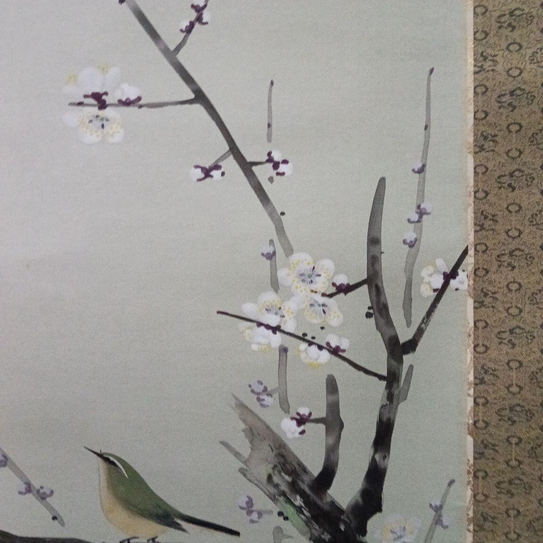 掛け軸/白梅/うぐいす