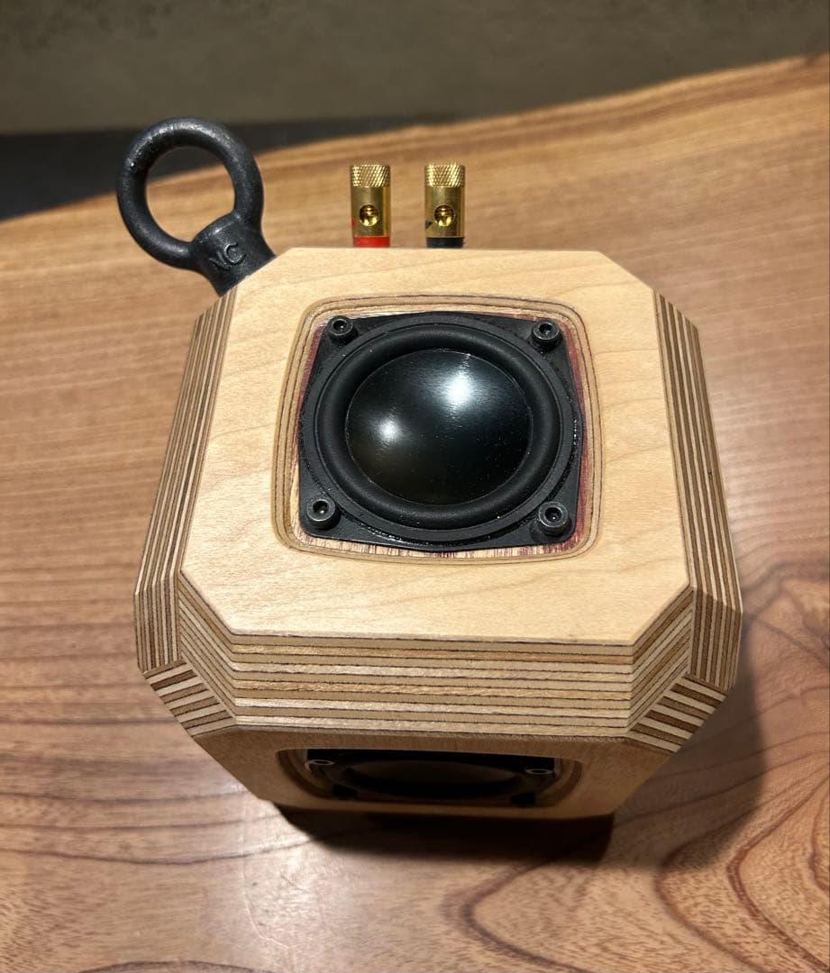 Taguchi Cube ハンギングタイプ モノラルスピーカー