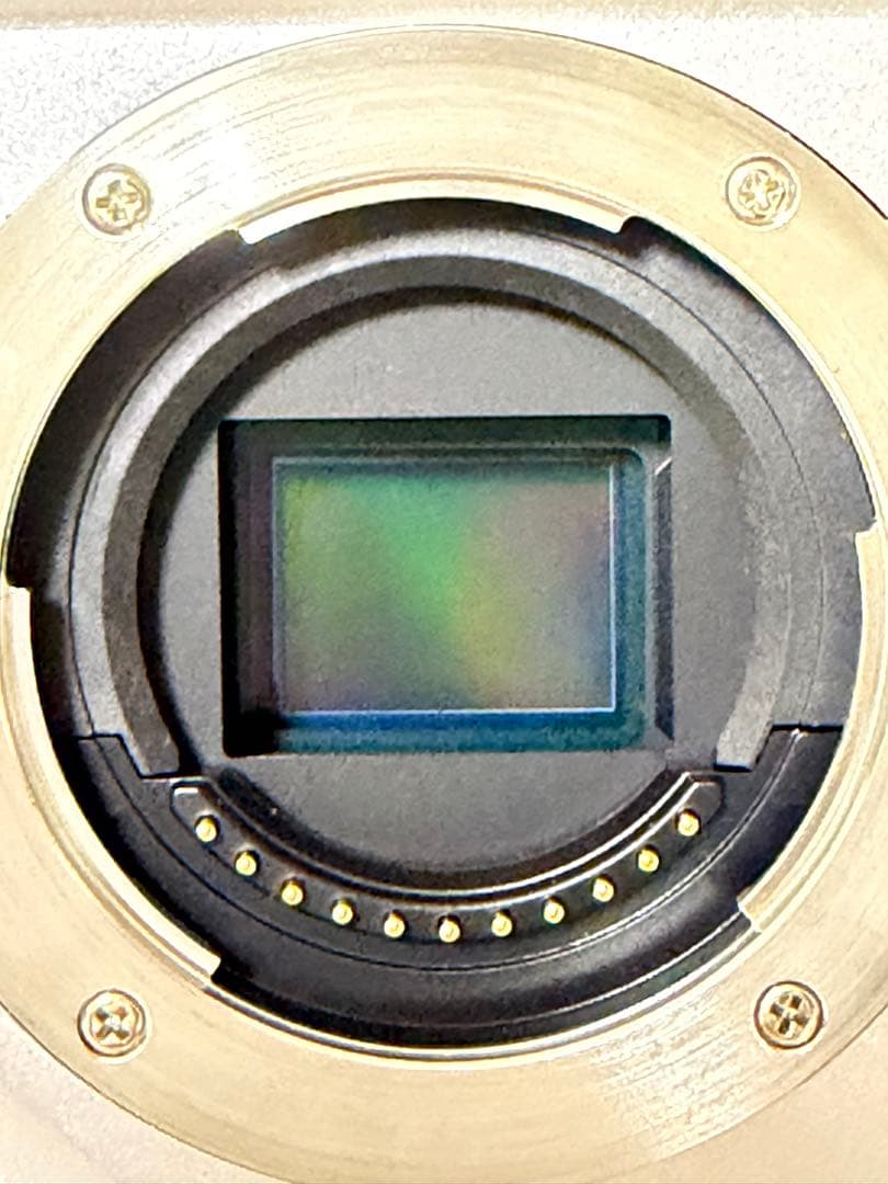 オリンパスE-M5 Mark III /LUMIXレンズ美品 【値下げ最終価格】