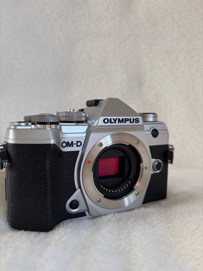 オリンパスE-M5 Mark III /LUMIXレンズ美品 【値下げ最終価格】