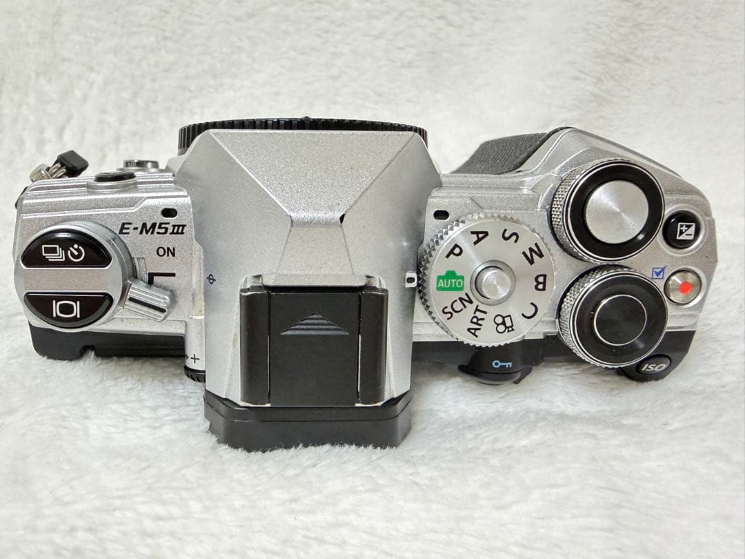 オリンパスE-M5 Mark III /LUMIXレンズ美品 【値下げ最終価格】