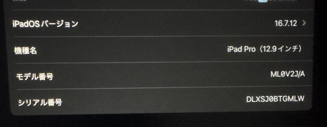 iPad pro（12.9インチ）本体のみ