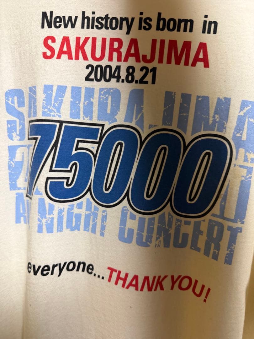 長渕剛 グッズ 大量 バラ売り可 希望額コメントへ タオル、Tシャツ、トランポ等