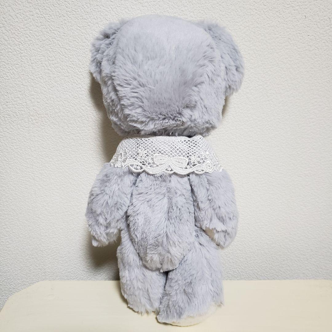 No.703 テディベア　BD 2026.3.8　ライトグレー×つけ襟