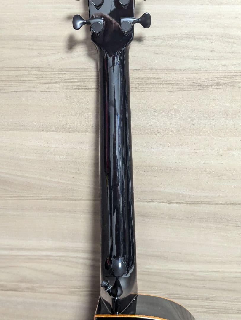 aNueNue aNN-M77 杉田健司ブレーシング採用モデル 弦長610mm