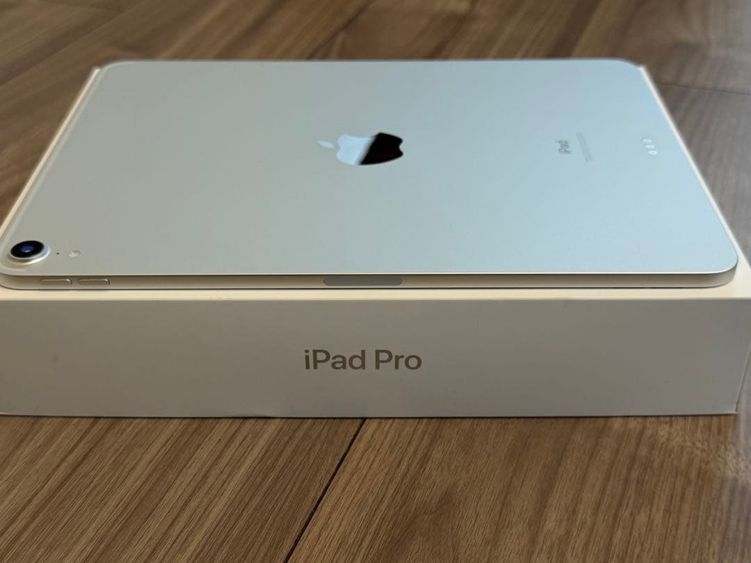 iPad Pro 11“シルバー Wi-Fiモデル 256GB (付属品完備)