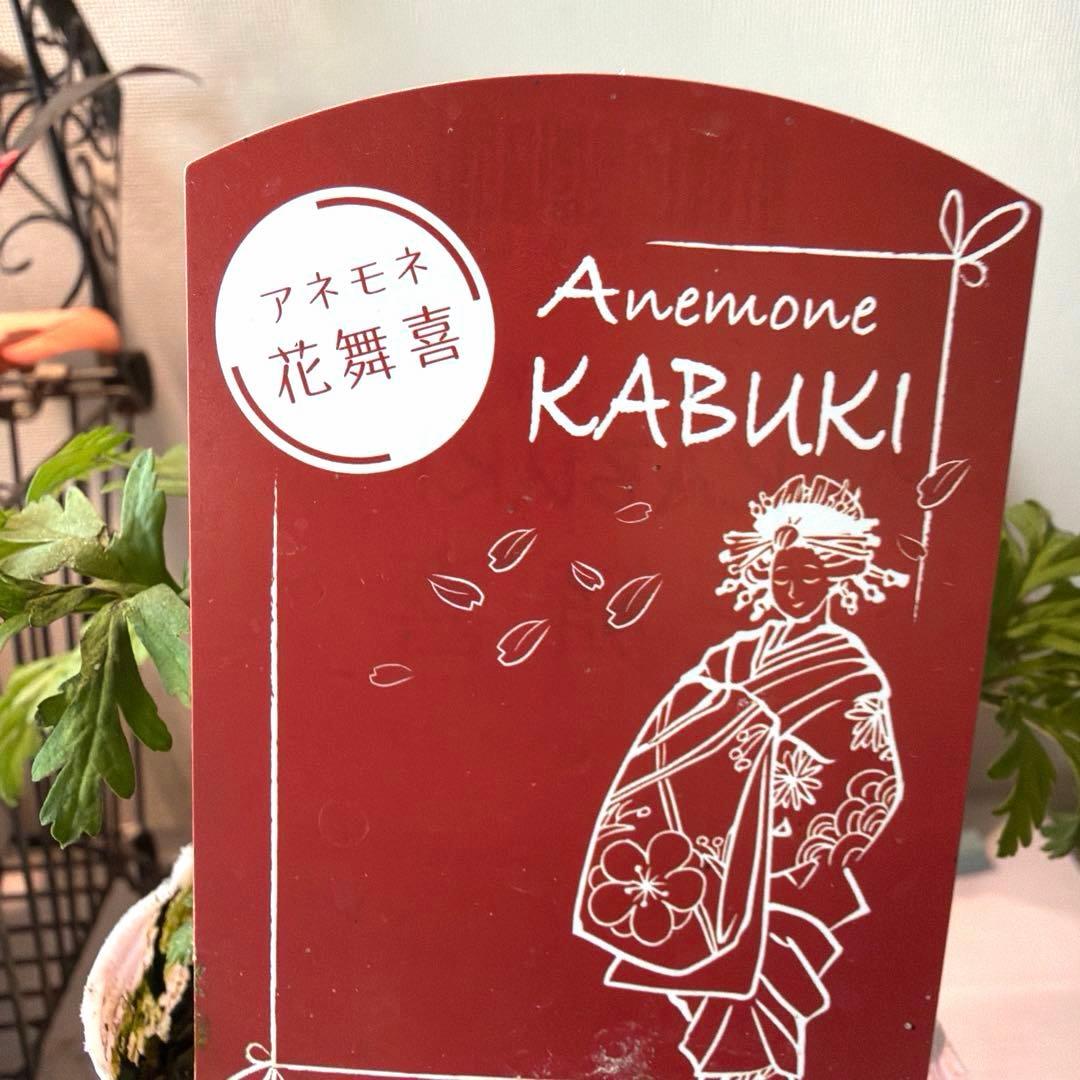 ぴょんぴょん様　確認用