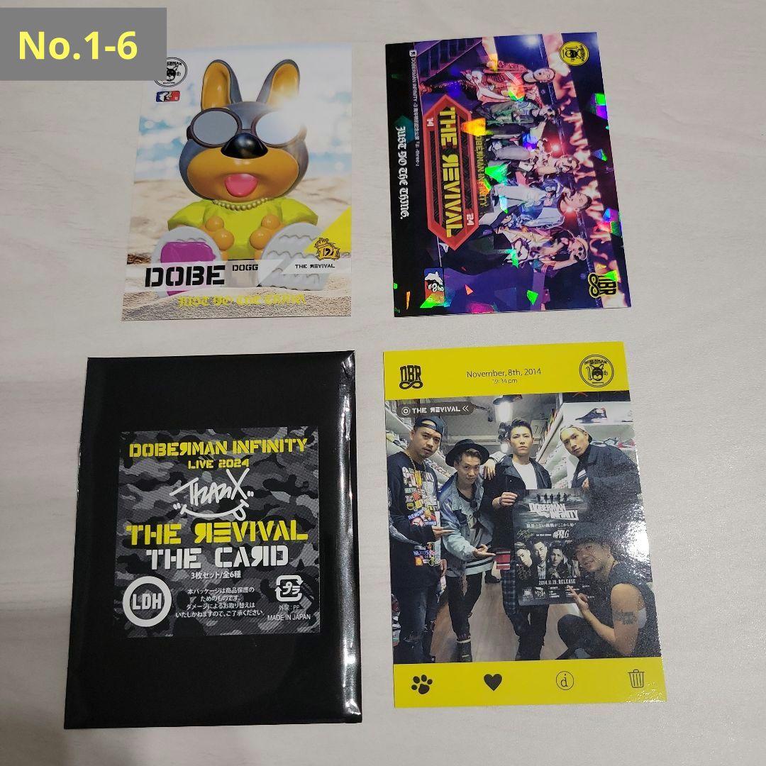 ️⭕️DOBERMAN INFINITY LIVE 2024 関連グッズ️⭕️