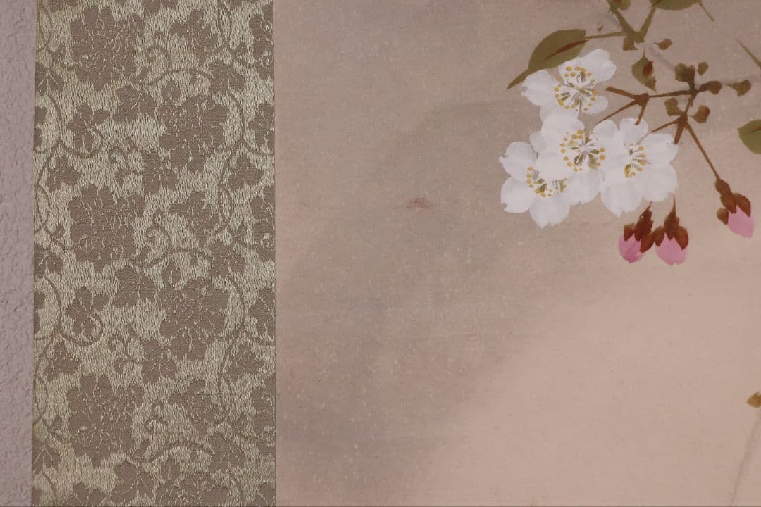 【模写】日本画 山口玲熈 桜の図 紙本 掛軸 師：菊池芳文 菊池契月 MB325