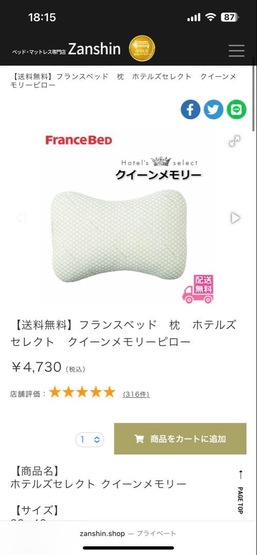 R★様用フランスベットQueen memory 枕 FranceBed