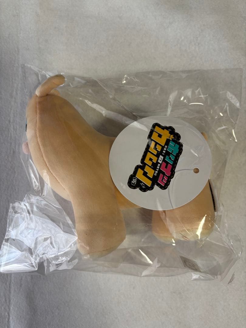 ホリナツのカンムリ（仮） ホリパカ