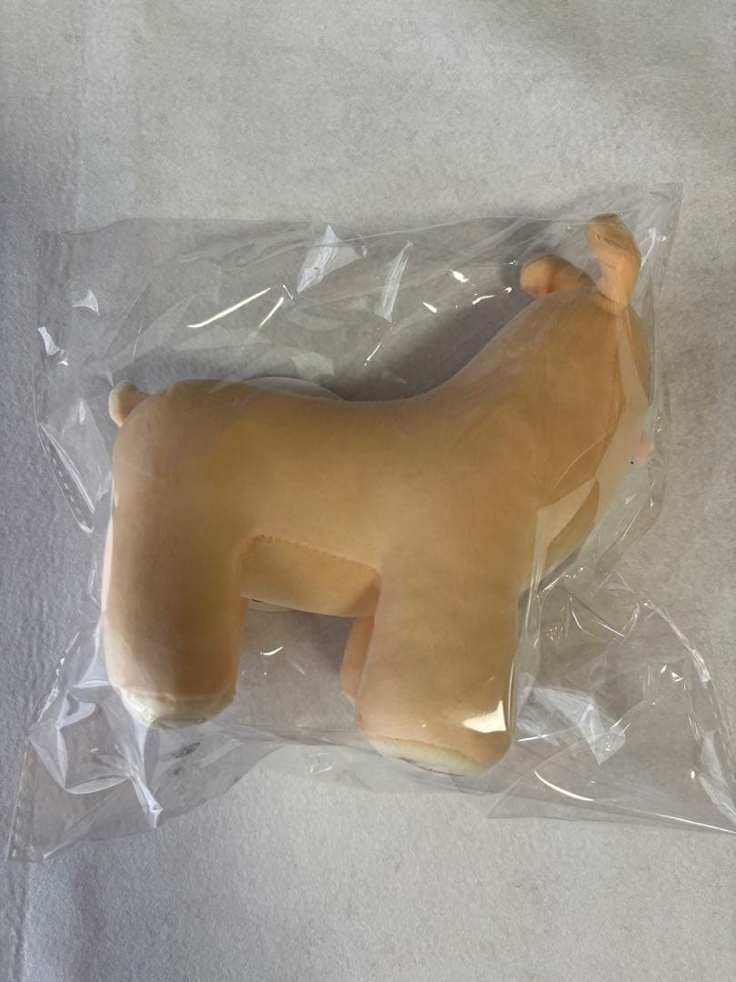 ホリナツのカンムリ（仮） ホリパカ