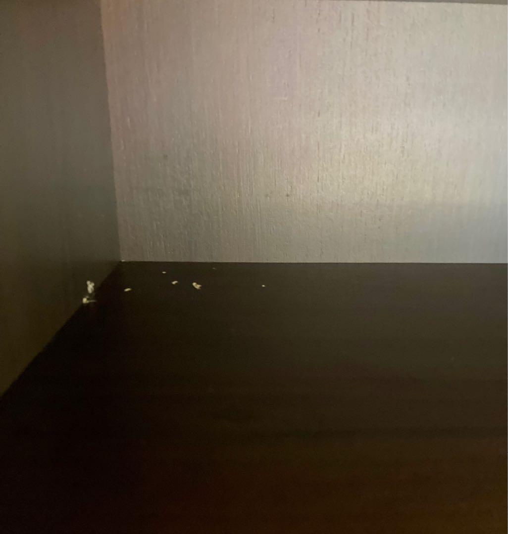 木製キャビネット ガラス扉付き 飾り棚 本棚 食器棚　ヴィンテージ 半回転取手