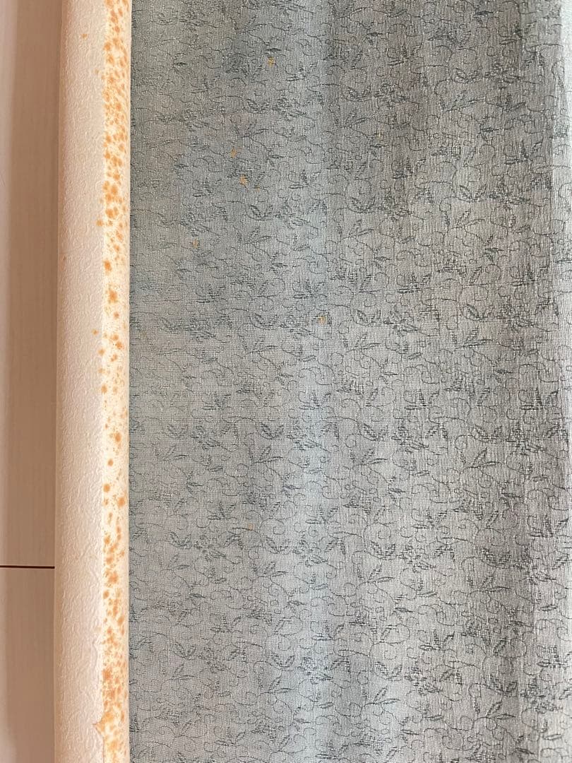 掛け軸、日本画、肉筆紙本、落款有り、古美術、美術品、アンティーク