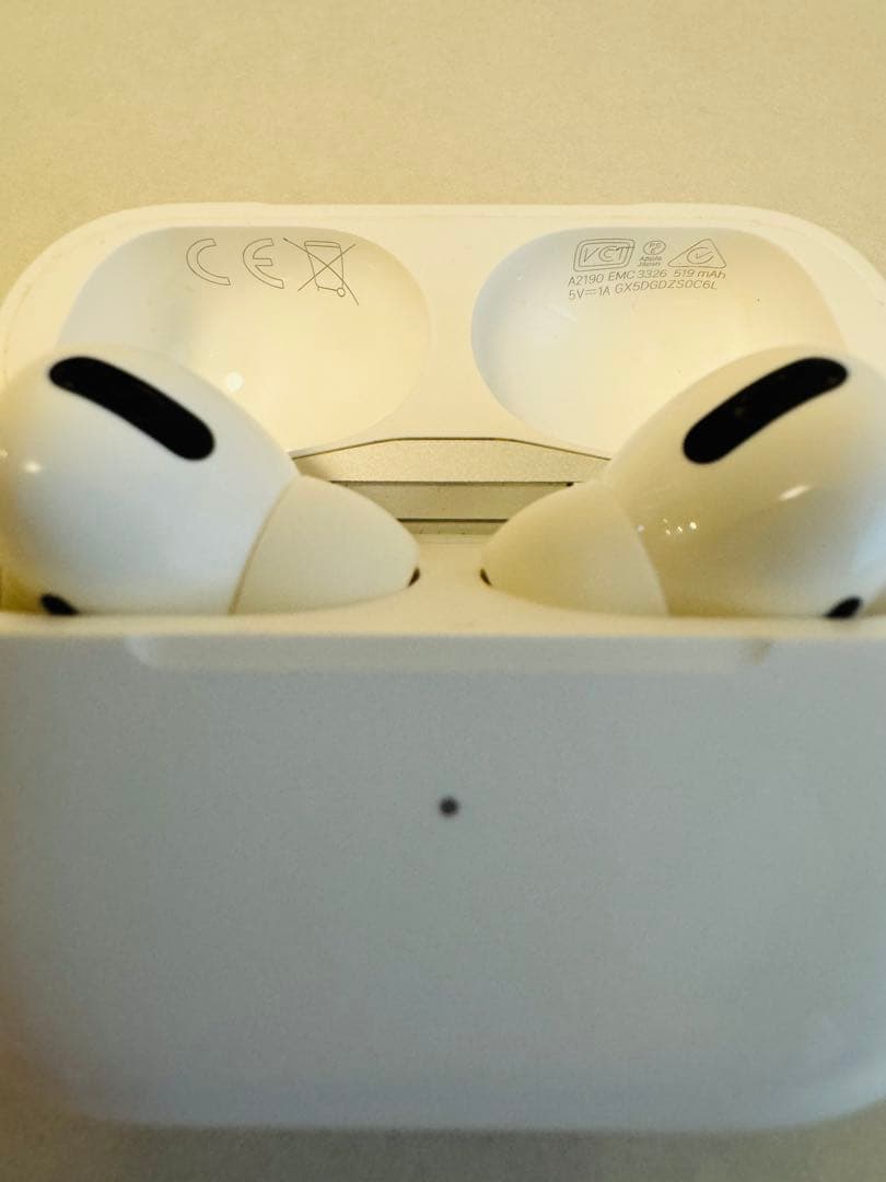 Apple AirPods Pro 第1世代（本体・ケース付）