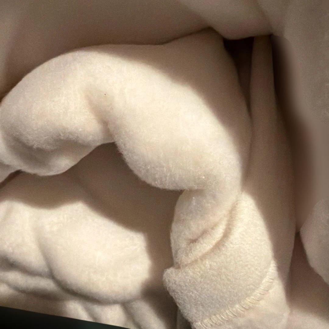  PRINCE POLO シングルシーツ2 セット掛け布団カバー1枚