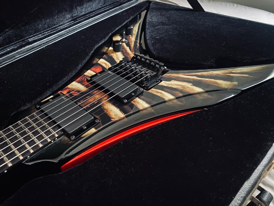 ギター DBZ Venom GX Thoracic [FLYING V]