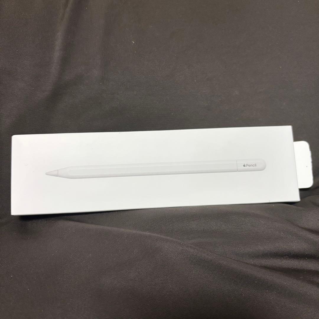 iPadアクセサリー Apple Pencil USB-C