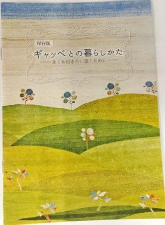 値下げ可能ミニギャベ●37×45㎝●手織●本物●新品未使用 遊牧民が紡ぐギャッベ