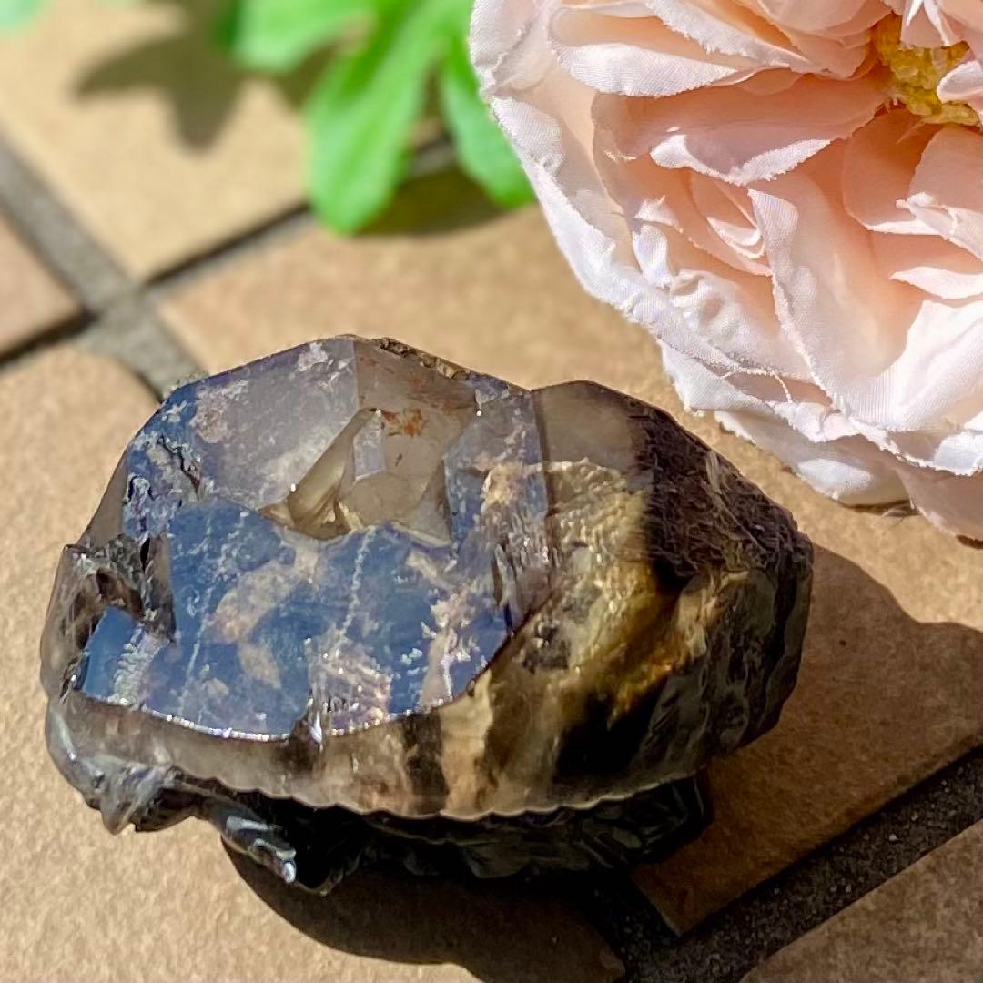 ジャッカレーモリオンエレスチャル