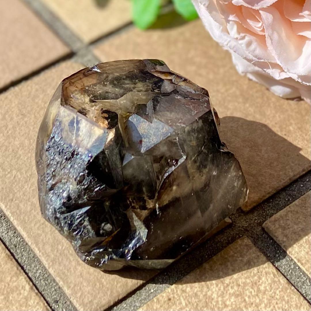 ジャッカレーモリオンエレスチャル